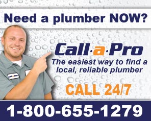 Call a Pro for Plumbers in Chandler
